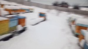 Верхняя и нижняя вентиляция в ППУ и ППС ульях. 1 декабря 2018 года.