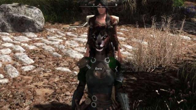 Skyrim || English/PC || Novlus System W/1800+ Mods || !discord || !twitter || Casual Player