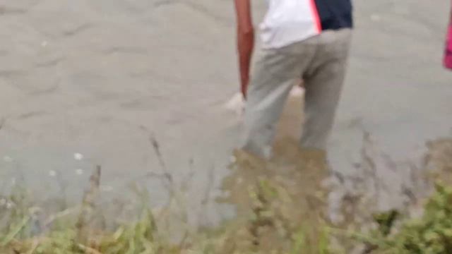 Wow amazing cast net fishing traditional trap catch fish by net #fishing #traditional #scoop net смотреть онлайн