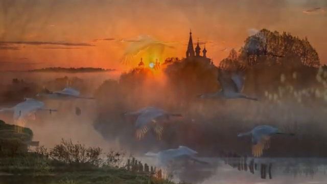 "РОДИНЕ" — композиция из двух стихотворений. Читает автор — Елена Артёменко. Запись: июнь, 2021 год смотреть онлайн
