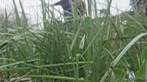 Рыбалка в Каратаево, травим анекдоты, ловим Карасей.