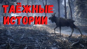 ТАЁЖНЫЕ РАССКАЗЫ | Страшные истории