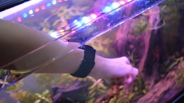 Huawei Watch 3 review (with setup + walkthrough!) смотреть онлайн