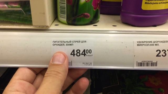 орхидеи СОРТОВЫЕ по 401 рублю в Леруа Мерлен и кашпо для орхидей смотреть онлайн