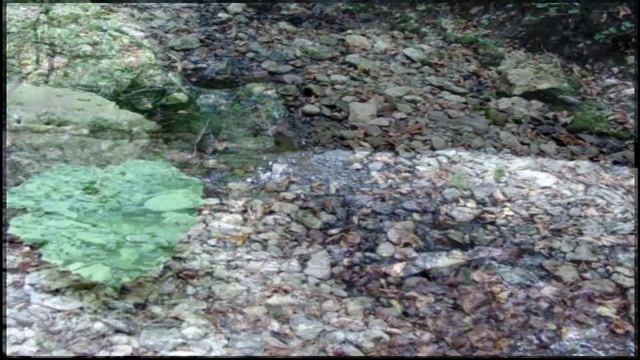 Каньоны Адыгеи, р.Фарс, смотреть онлайн