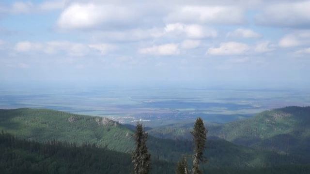 ПРОГУЛКА В ГОРЫ С ФОКСТЕРЬЕРАМИ смотреть онлайн
