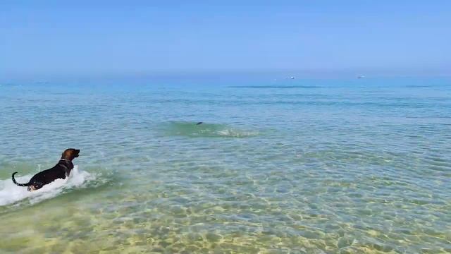 С МАРСОМ НА ПЛЯЖЕ \\ МОРЕ ИЗРАИЛЯ смотреть онлайн