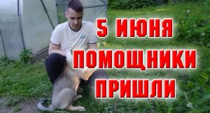 5 июня. Пришли внуки на дачу. Мои помощники.mp4