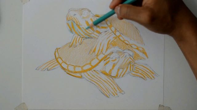 Cómo Dibujar Unas Tortugas bebés Paso a Paso muy fácil смотреть онлайн