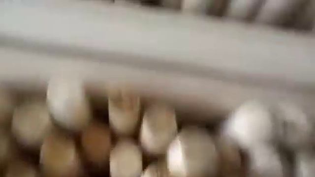 Первый сорт - черенки для лопат, топорища, ручки для лопат, молотка и кувалд от производителя смотреть онлайн