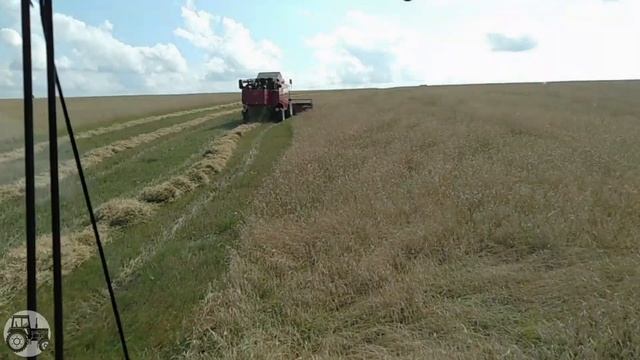 Молотим рожь, палессе кзс 812, палессе кзс 1218. Пробный выезд ПСКУ-10 производства артайус. смотреть онлайн