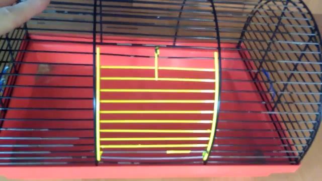 Клетка для хомяка: какую выбрать? Полная версия смотреть онлайн