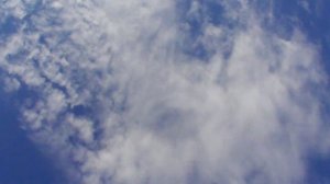 Будапештские голуби-посадка и заход.Высоколетные голуби полет 30.08.2022