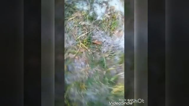 ВЛОГ: речка. Смотреть до конца смотреть онлайн