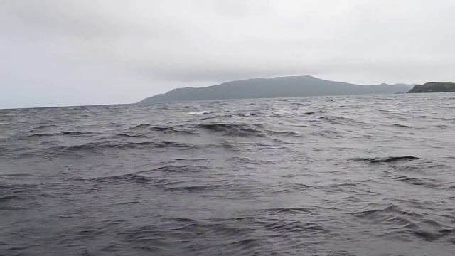 на Пахтусов смотреть онлайн