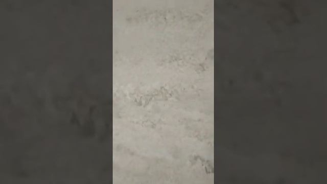 штукатурка пробковая