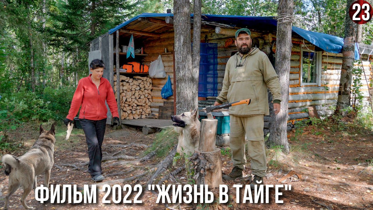 Жизнь семьи в глухой тайге. Ловим рыбу, собираем кедровые шишки, опять приходил хозяин тайги. 23с смотреть онлайн