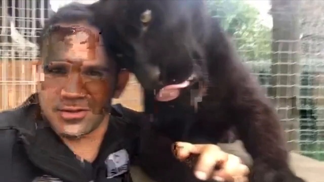 Келеито балуется смотреть онлайн