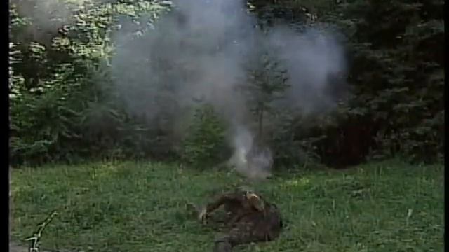 Грибы и мины :)