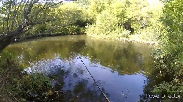 В поисках горбуши 2020 Сахалин смотреть онлайн