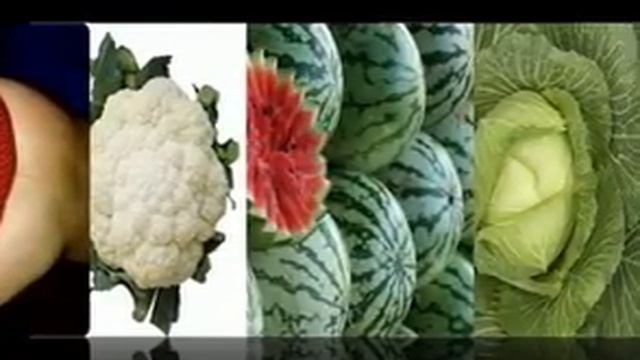 семена овощей каталог смотреть онлайн