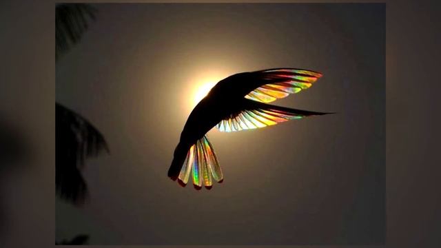 70 безумных фото, сделанных в нужный момент... смотреть онлайн