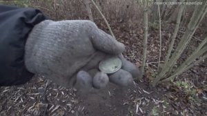 ЦЕНА ее просто ЗАОБЛАЧНАЯ! Выкопал с металлодетектором в СТАРИННОМ ПАРКЕ! POISK ZLATA SEREBRA