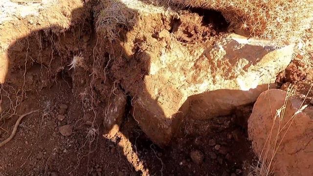 Eşkiya Hazinesi Bulma Anı смотреть онлайн