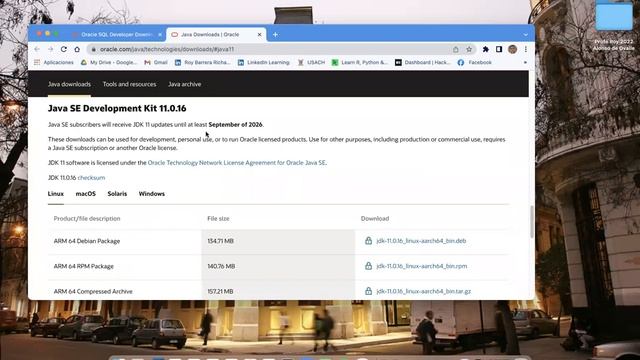 2.01 Oracle SQL Developer 2022 en Mac OS смотреть онлайн