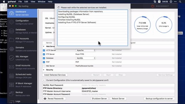 Free web hosting setup with goPanel and virtual Ubuntu смотреть онлайн