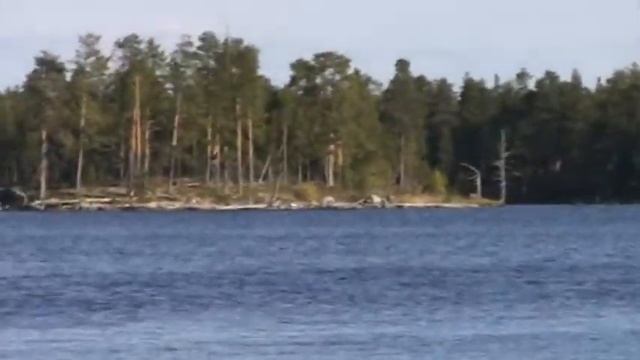 Путешествие с "Задором".... смотреть онлайн