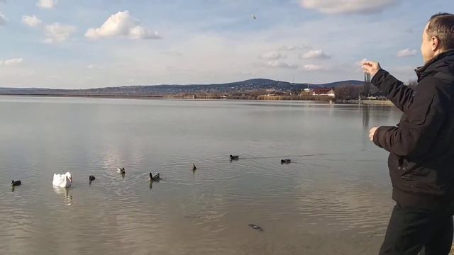 Озеро Веленце смотреть онлайн