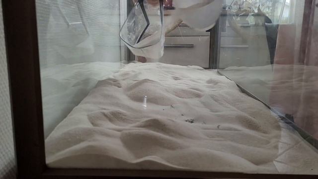 Запуск крутого природного аквариума смотреть онлайн