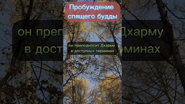 Пробуждение спящего Будды.