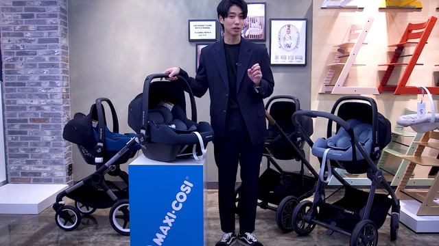 유명 브랜드 유모차랑 다 호환되는 바구니카시트 등장 ㄷㄷ 맥시코시 카브리오픽스 TC 리뷰 (바구니카시트,부가부,줄즈,에그,요요2,뉴나,잉글레시나)