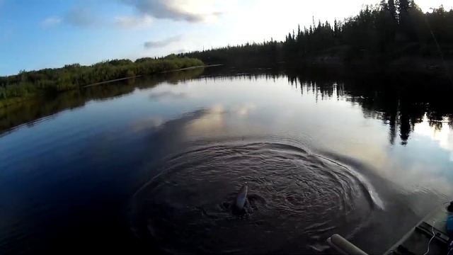Рыбалка на хариуса в Коми смотреть онлайн