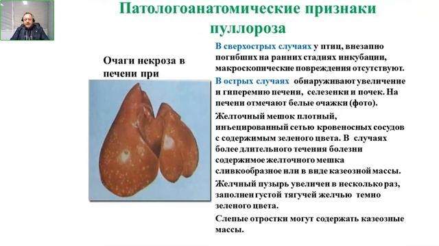 Осторожно, сальмонеллез!