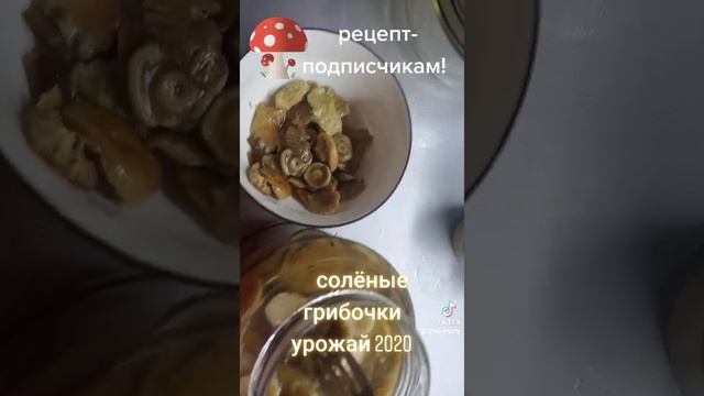 Солёные грибы по супер-рецепту объеденье из самых простых грибов волнушек горькушек смотреть онлайн
