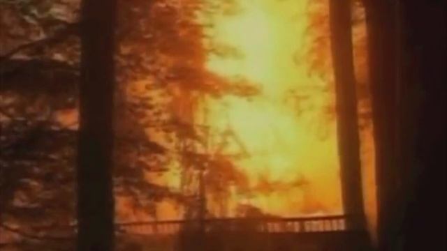 Варг Викернес, история музыканта, убийцы, отца