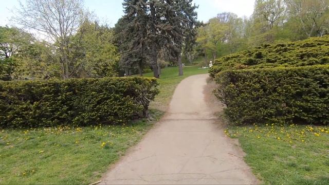 [4K] ?? Toronto Walk - High Park Walking Tour | Toronto's Largest Public Park смотреть онлайн