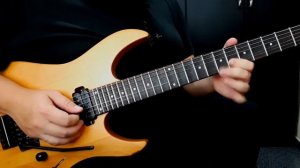 Bryan Adams - Everything I Do (Guitar Solo)