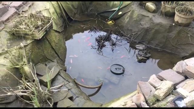 Пруд на участке. Чистка озера на участке. Чистим пруд на участке. Как почистить пруд. Чистка озера. смотреть онлайн