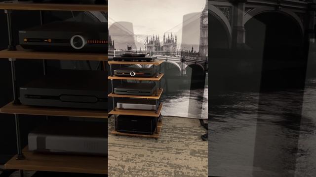 Monitor Audio at Axpona 2023; Platinum Series 3G #axpona #monitoraudio #hifi смотреть онлайн