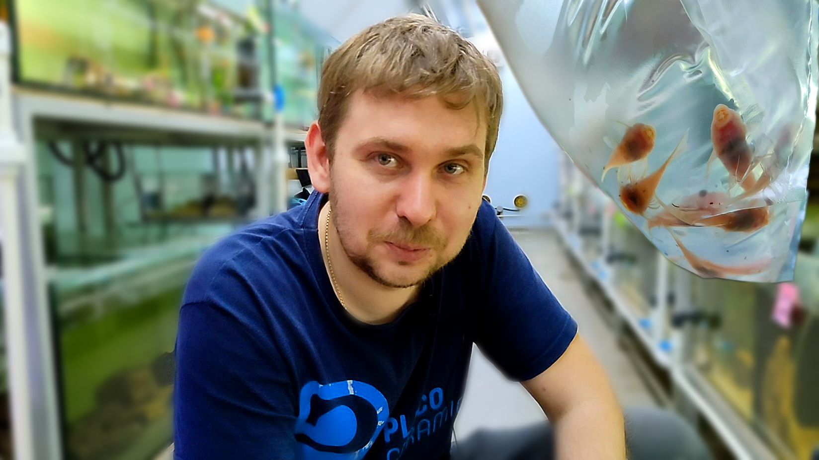 Приобрел белоснежных АНЦИСТРУСОВ на ферме Л- СОМОВ! смотреть онлайн