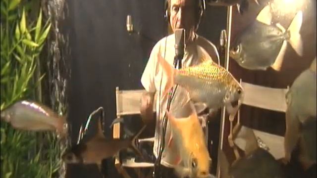 Monty Pythons - Every Spam is sacret смотреть онлайн