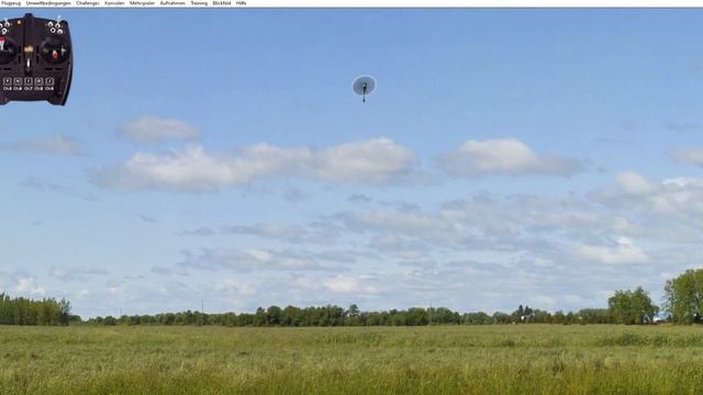 RealFlight 9.5s test смотреть онлайн