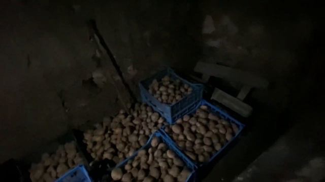 Киев сегодня . Куда делись дети? смотреть онлайн