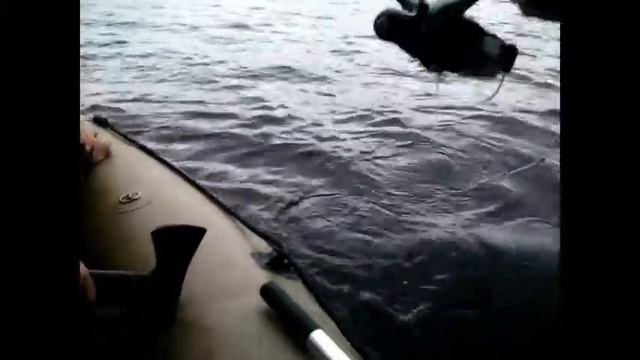 Щука чуть не перевернула лодку. смотреть онлайн