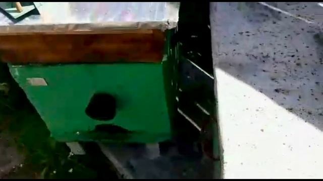 Май Собираем пыльцу смотреть онлайн