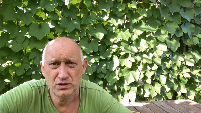 Выдаём Калия Монофосфат (КН2PO4) по листу. Подкормка и профилактика. смотреть онлайн